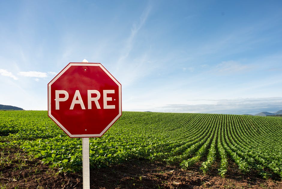 Veto carnes brasileiras impacta exportações