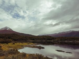 Ushuaia e hantavírus: cidade no 'fim do mundo' enfrenta surto