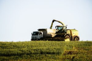 Acidentes trabalho campo no Espírito Santo durante colheita.