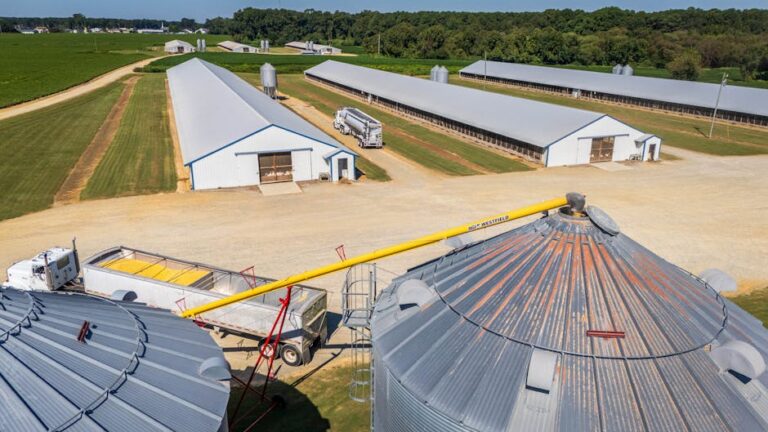 Suspensão frigoríficos brasileiros e seu impacto no agronegócio.