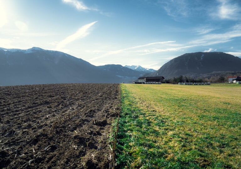 El Niño e fertilizantes no agronegócio brasileiro
