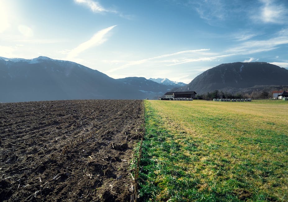El Niño e fertilizantes no agronegócio brasileiro