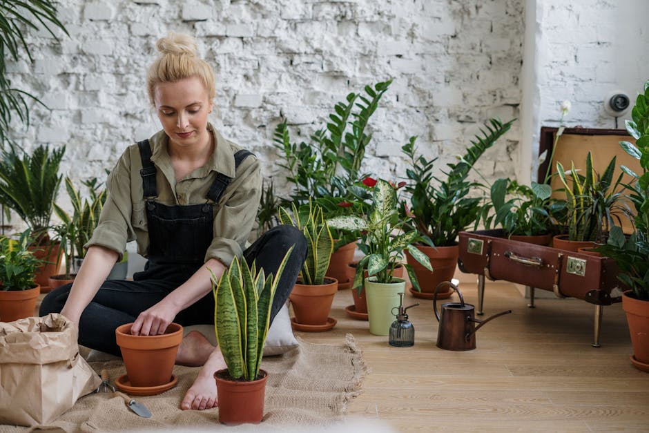 Salvar plantas doentes e cuidar do jardim