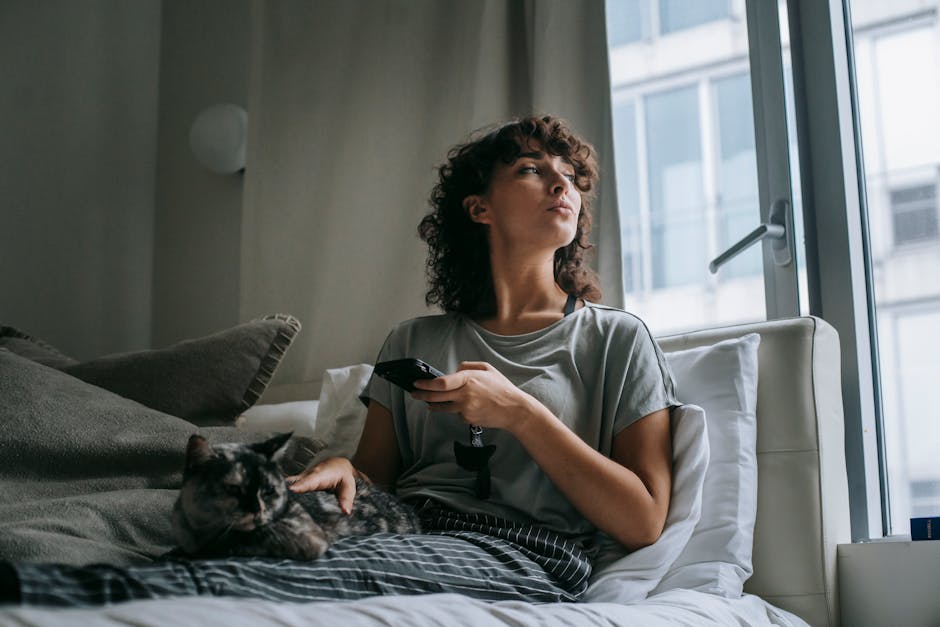 Gatos em apartamento vivem em condições insalubres em Concórdia SC