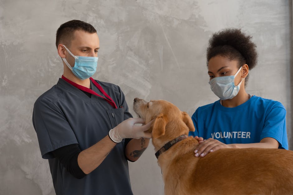Cães de apoio hospitalar auxiliando crianças em hospitais