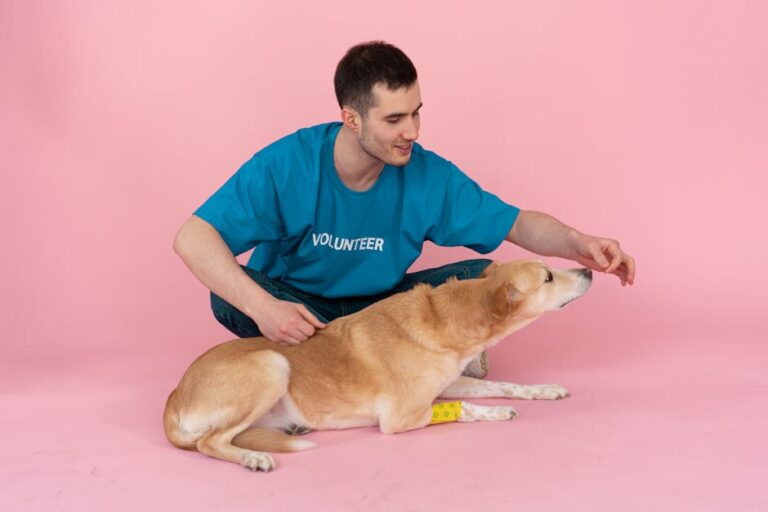 Cães terapeutas fantasiados de super-heróis ajudam crianças em tratamento contra câncer
