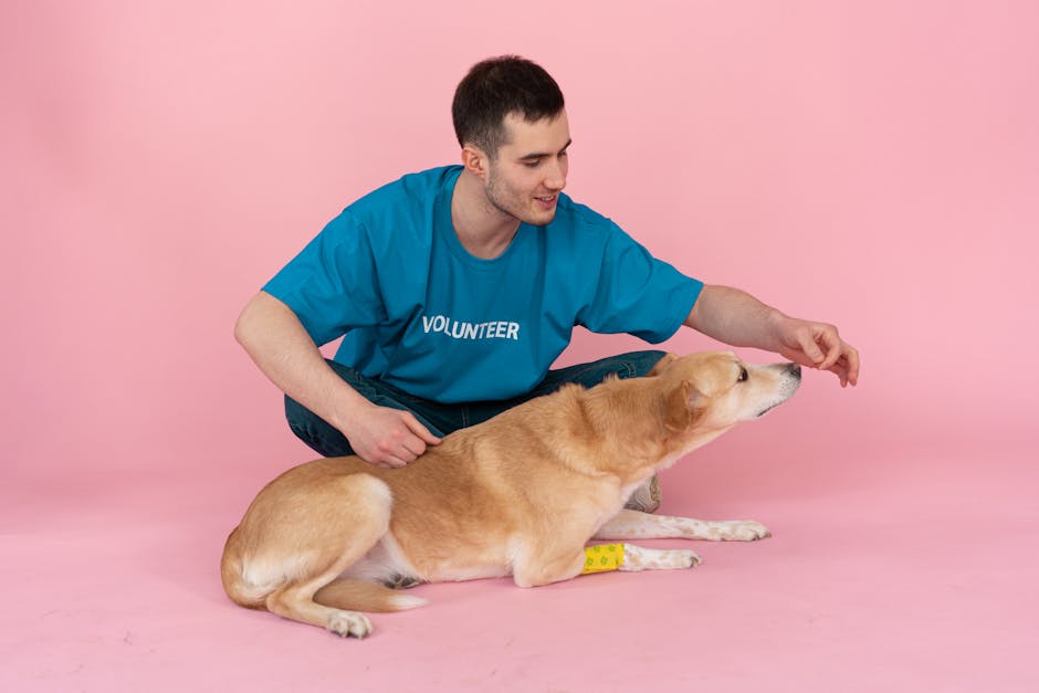 Cães terapeutas fantasiados de super-heróis ajudam crianças em tratamento contra câncer