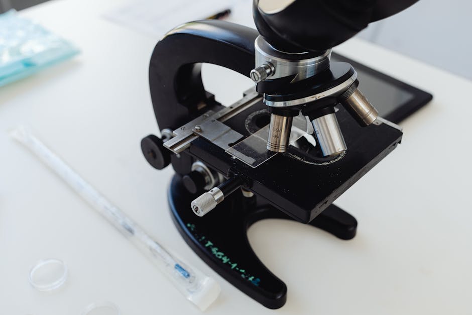 Tecnologias antigas que intrigam a ciência moderna