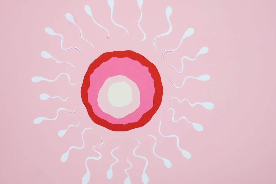 Espermatozoides ocultos e a nova tecnologia de IA