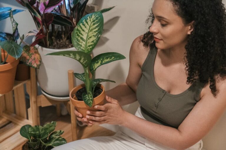 Plantas baixa manutenção para decoração e paisagismo
