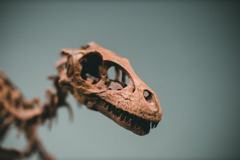 apocalipse asteroide dinossauros