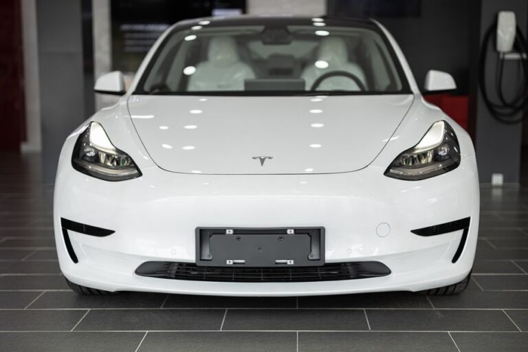 dados de segurança Tesla em foco