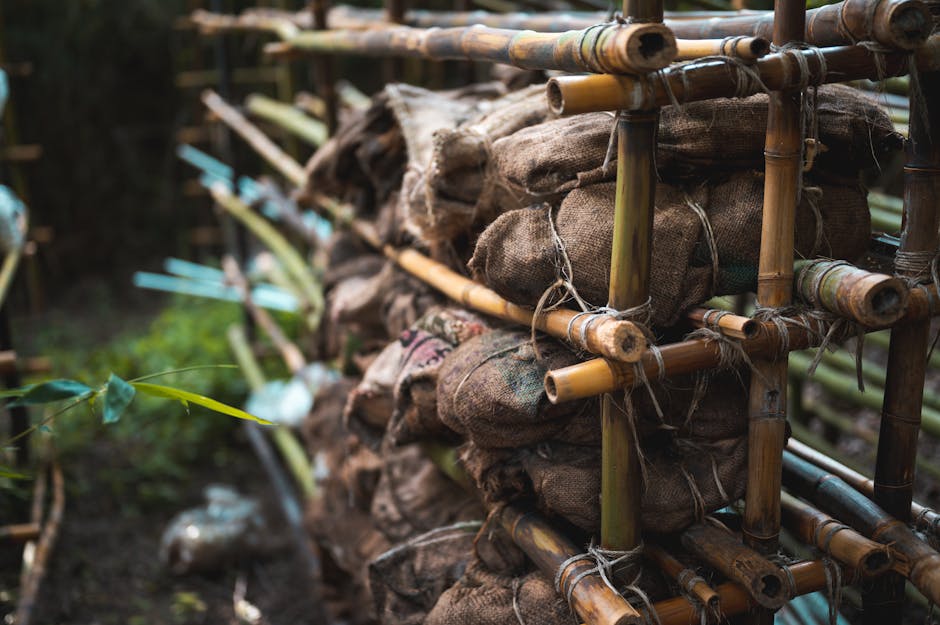 Bambu na arquitetura com estruturas curvas e sustentáveis.
