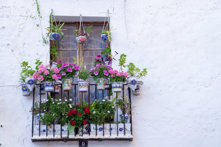 Flores batizadas com nomes de famosas em destaque