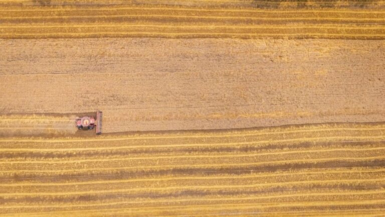inadimplência no agronegócio brasileiro