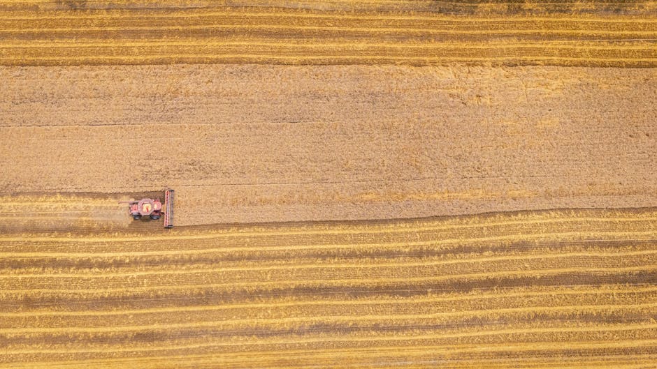 inadimplência no agronegócio brasileiro