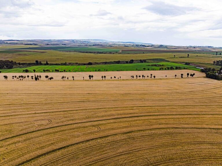 Leilões de propriedades rurais e a inadimplência no campo