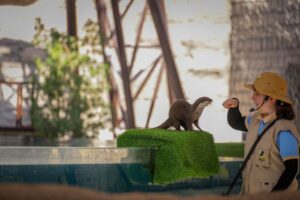 Zoológico de Sapucaia do Sul reabre após mortes de animais