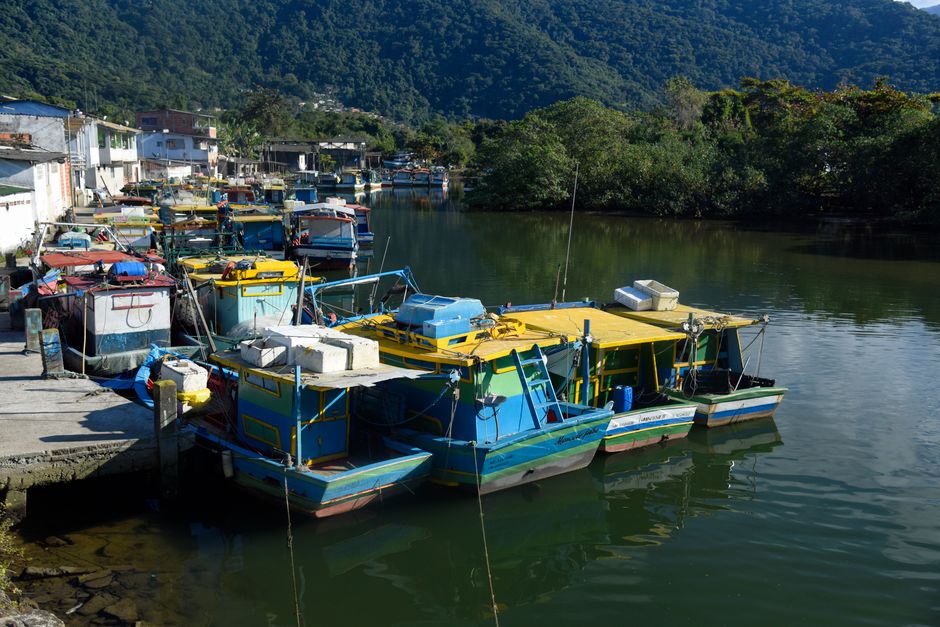 UE avalia reabrir mercado para pescados brasileiros