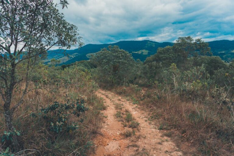 Trilhas em Tiradentes com cachoeiras e biodiversidade