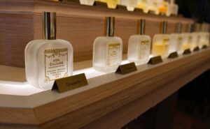Perfumarias mercado beleza e lançamentos
