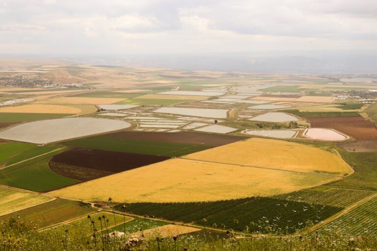 Desafios do agro com El Niño e fertilizantes