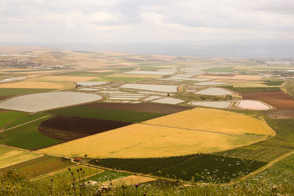Desafios do agro com El Niño e fertilizantes