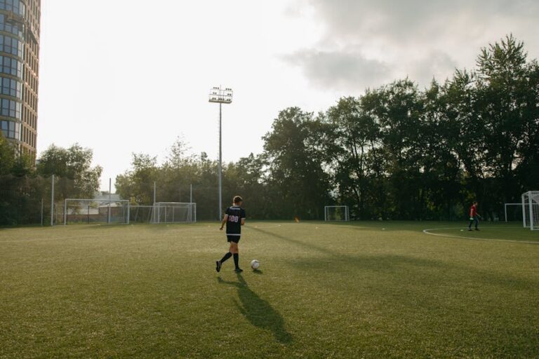 Botafogo intertemporada Rússia