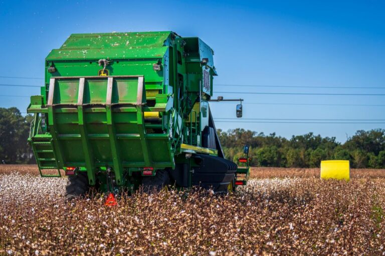 Curiosidades do agro nas seleções da Copa do Mundo
