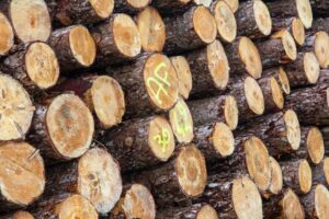 extração ilegal madeira minérios em terras indígenas