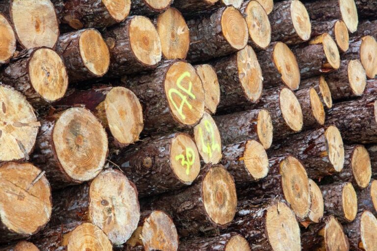 extração ilegal madeira minérios em terras indígenas
