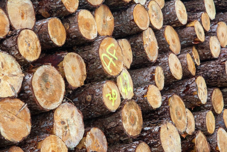 extração ilegal madeira minérios em terras indígenas