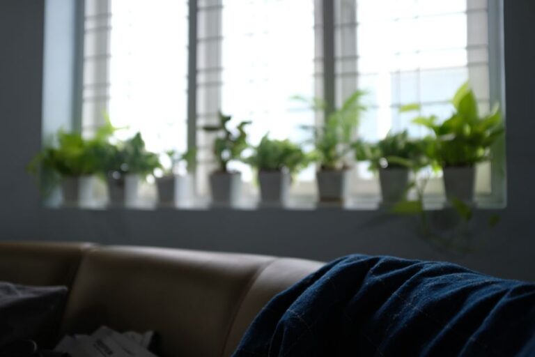 plantas que florescem dentro de casa