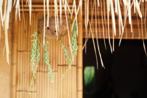casas de passarinho criadas por crianças no Camboja