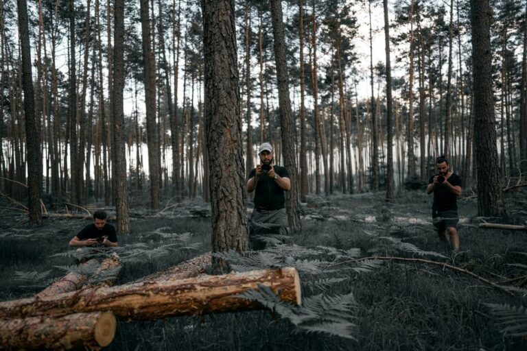 Caminhão apreendido com madeira irregular em Balsas