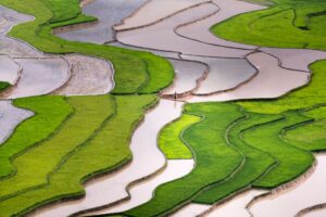 El Niño e safras no Brasil e Argentina