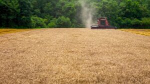 tarifaço Trump e impacto no agronegócio