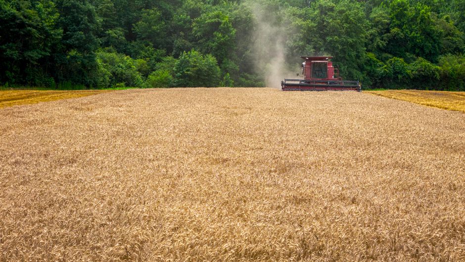 tarifaço Trump e impacto no agronegócio