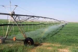 El Niño intenso e suas consequências para as safras tropicais