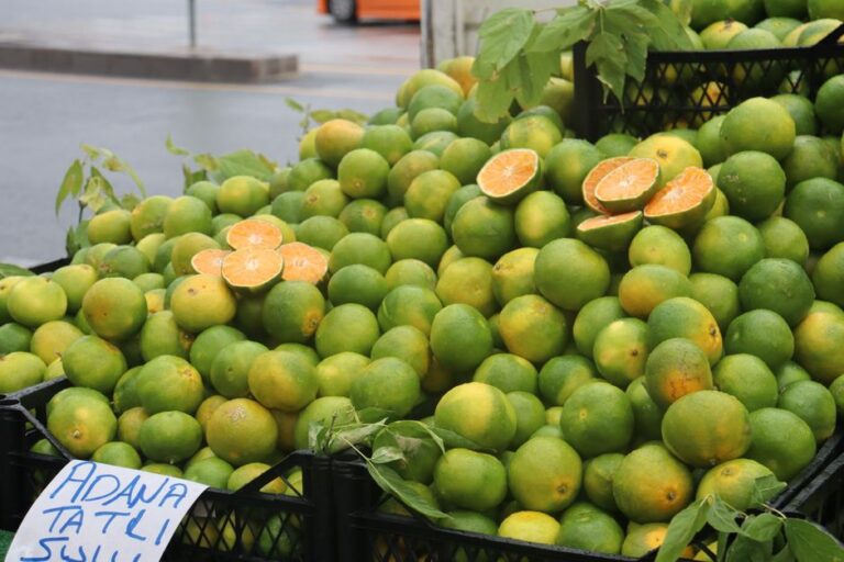 produtos de mexerica transformam negócio