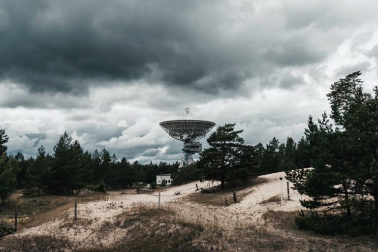 Estrelas que comeram planetas e suas implicações para a formação estelar.
