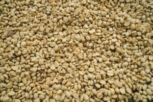 Café solúvel e suas implicações no mercado internacional
