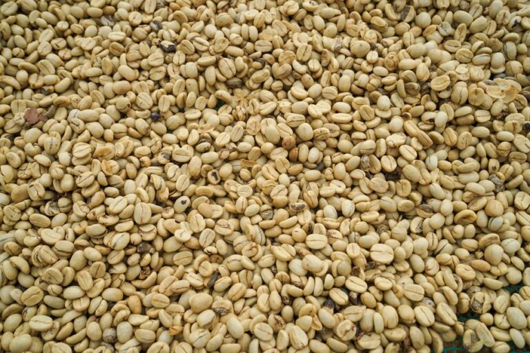 Café solúvel e suas implicações no mercado internacional