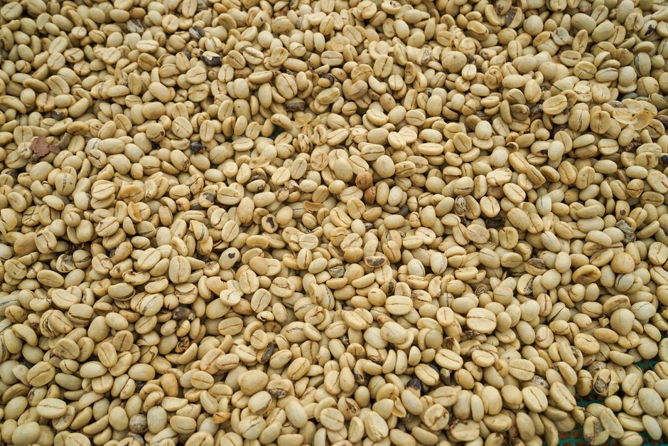 Café solúvel e suas implicações no mercado internacional