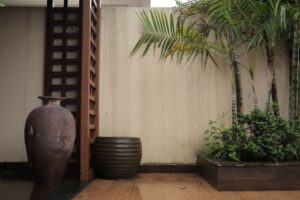 árvores que dão sombra rápido para cultivar em casa