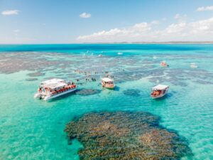 feriado em Alagoas e expediente de órgãos públicos