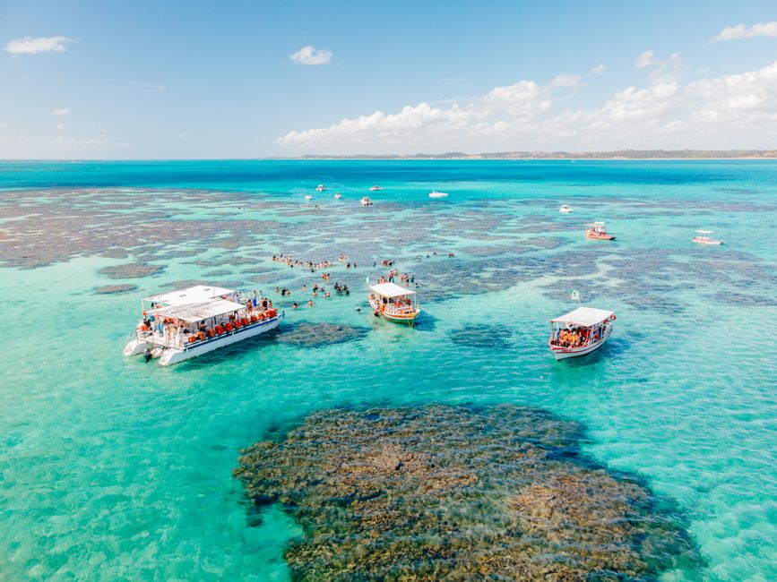 feriado em Alagoas e expediente de órgãos públicos