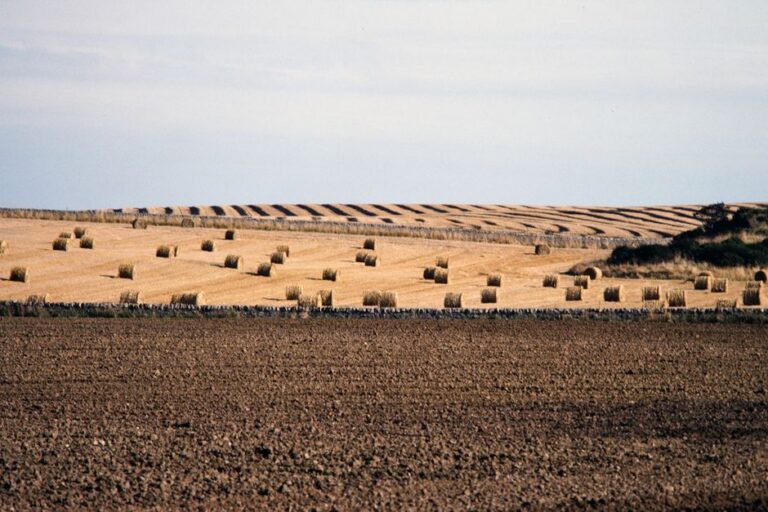 Brasil Escócia agro comparativo entre produção agrícola e pecuária