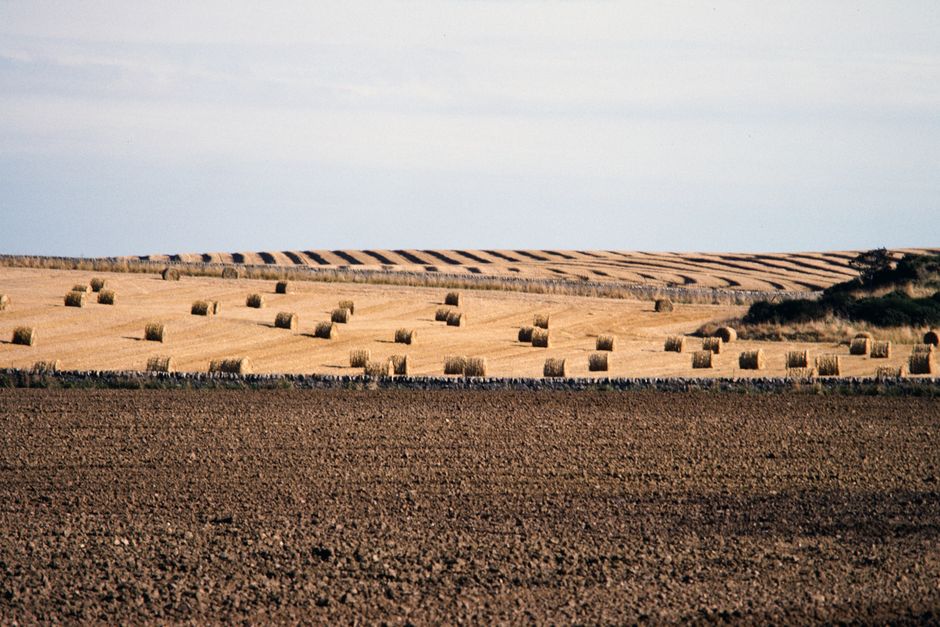 Brasil Escócia agro comparativo entre produção agrícola e pecuária