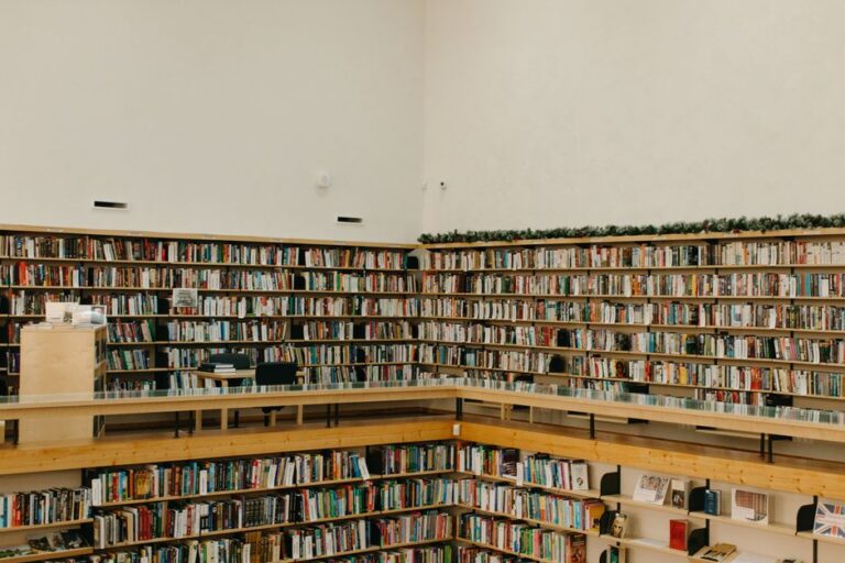 Livro Lugar de fala e sua relevância no mercado editorial